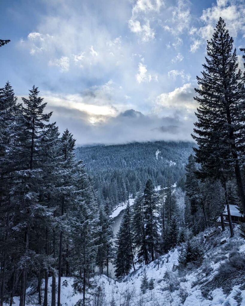 View from deck at Das Tree Haus