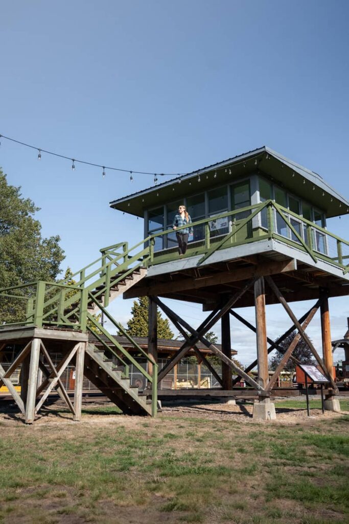 a weathered green fire lookout tower with a woman standing at the top looking out in the distance