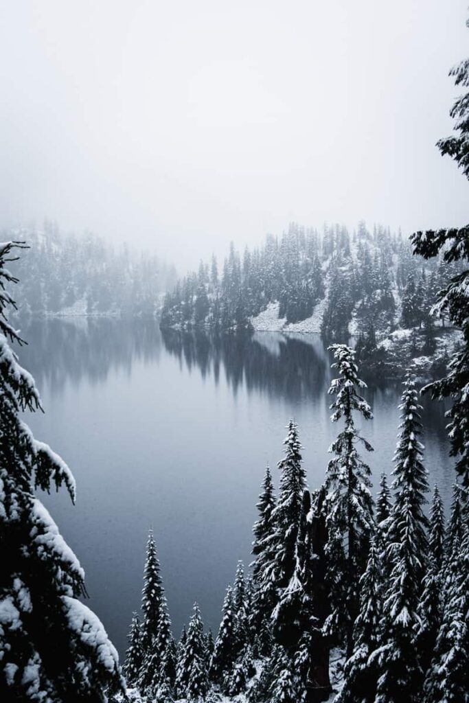 snow lake surround by snow covered pines and moody sky