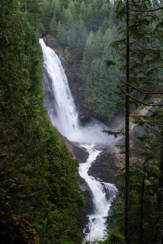 wallace falls cascading through evergreen forest